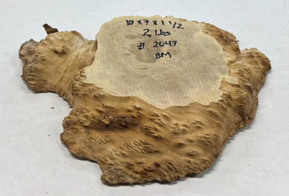 Brown Mallee Burl Cookies 13" x 7" x 1-1/2"   2 Lbs | #2048