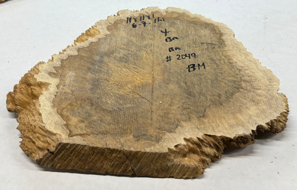 Mallee Burls marrón 20"x17"x6" 29.35 libras | #637