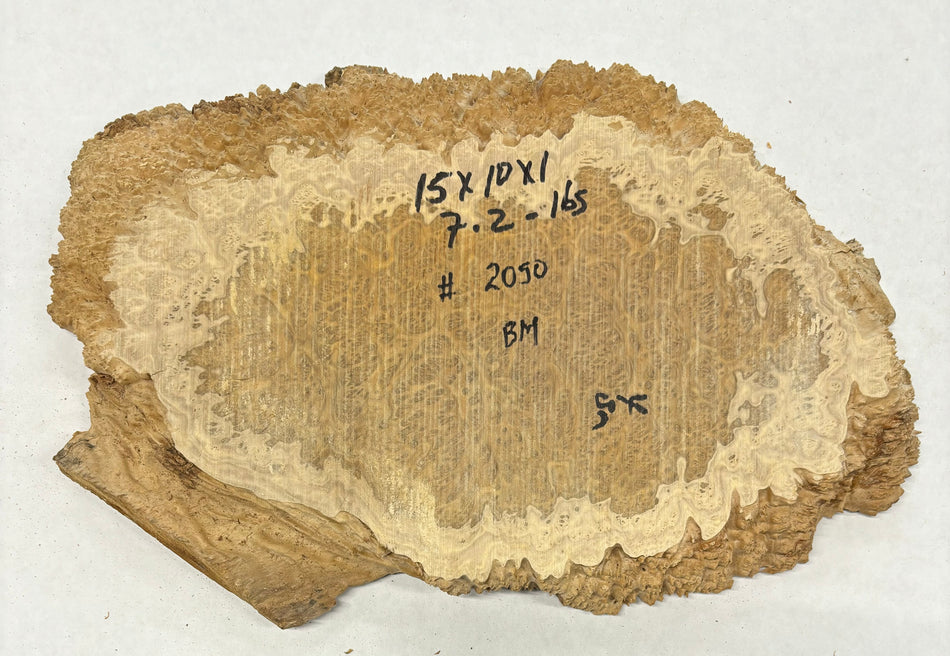 Mallee Burls marrón 20"x17"x6" 29.35 libras | #637