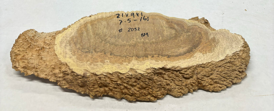 Mallee Burls marrón 20"x17"x6" 29.35 libras | #637