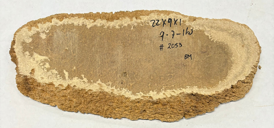 Mallee Burls marrón 20"x17"x6" 29.35 libras | #637