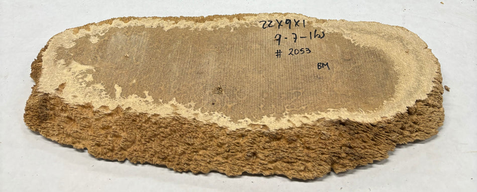 Mallee Burls marrón 20"x17"x6" 29.35 libras | #637