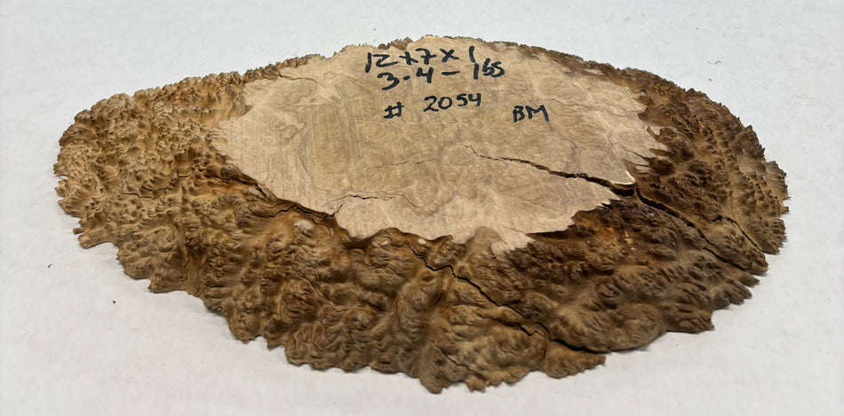 Mallee Burls marrón 20"x17"x6" 29.35 libras | #637