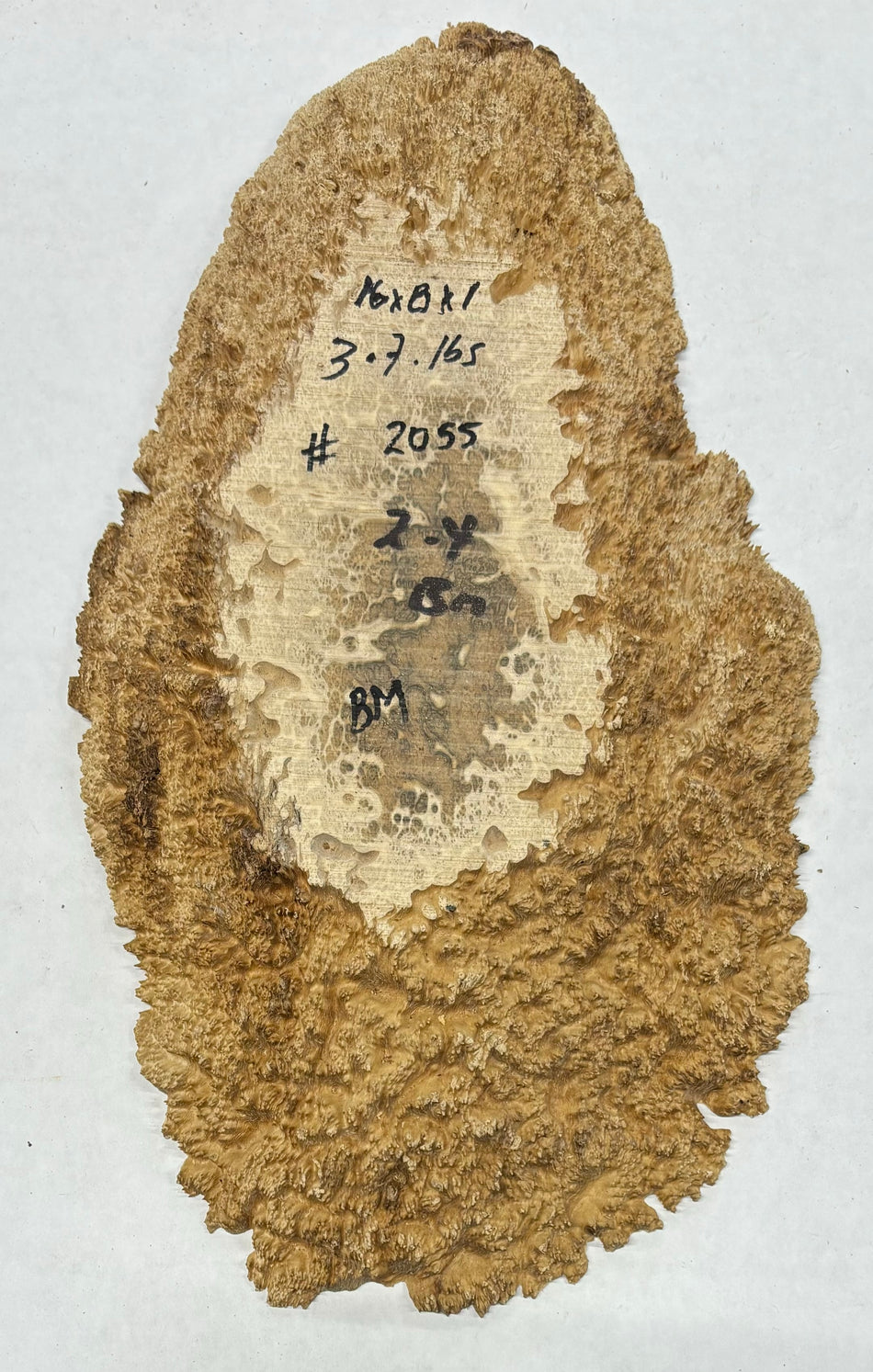 Mallee Burls marrón 20"x17"x6" 29.35 libras | #637