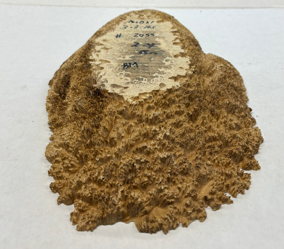 Mallee Burls marrón 20"x17"x6" 29.35 libras | #637