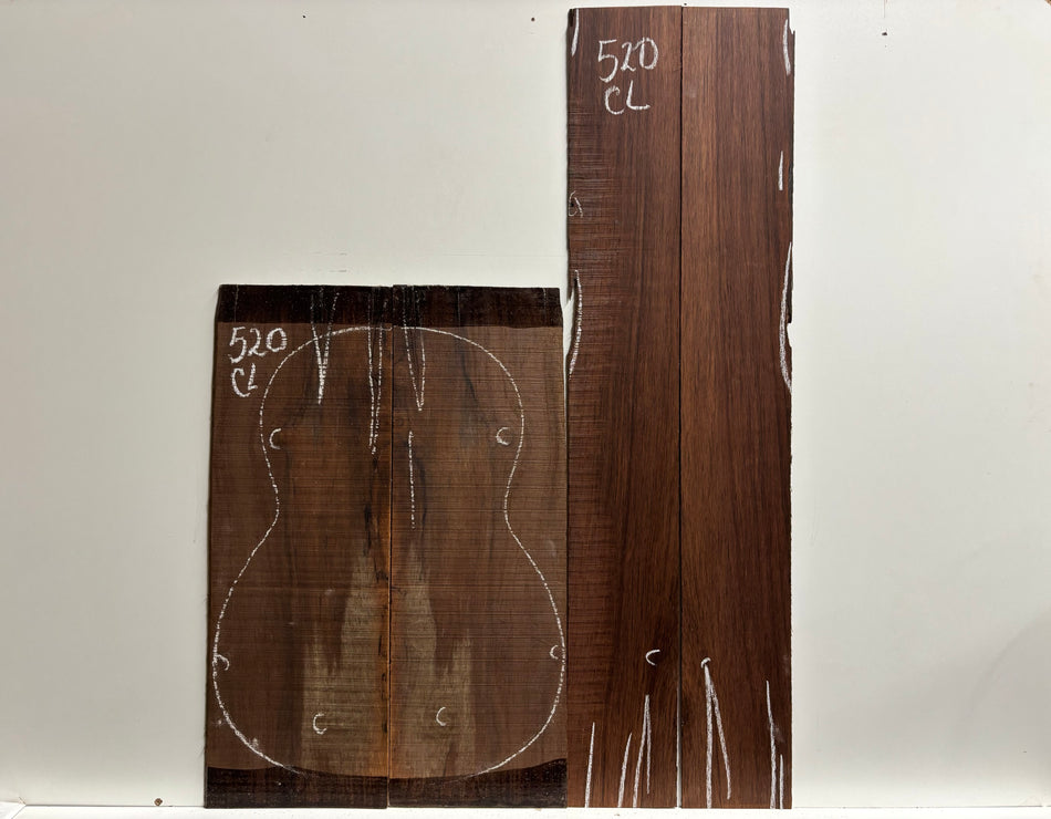 Juego de fondo y aros de guitarra de grado AAAA Dreadnought de palisandro de la India Oriental #61 