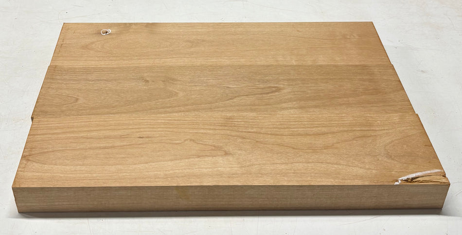 Espacios en blanco para cuerpo de guitarra de aliso - 21" x 14" x 1,95" 