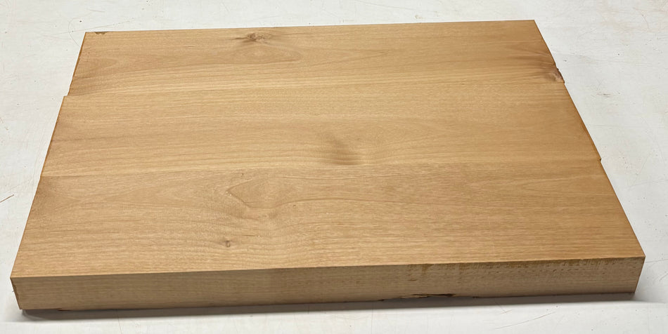 Alder Guitar Body Blank - 21" x 14-3/4" x 1-3/4", 10 Lbs (3 Pcs Glued) #41