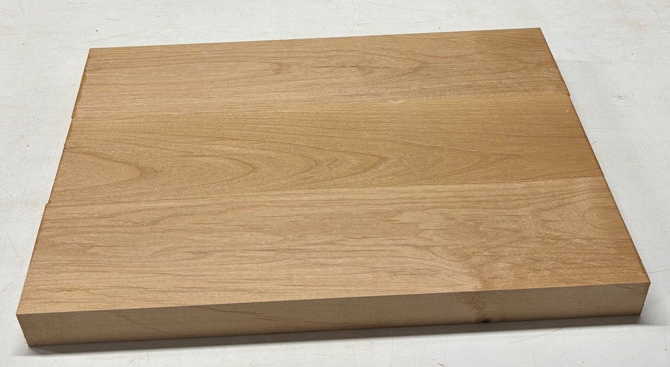 Espacios en blanco para cuerpo de guitarra de aliso - 21" x 14" x 1,95" 