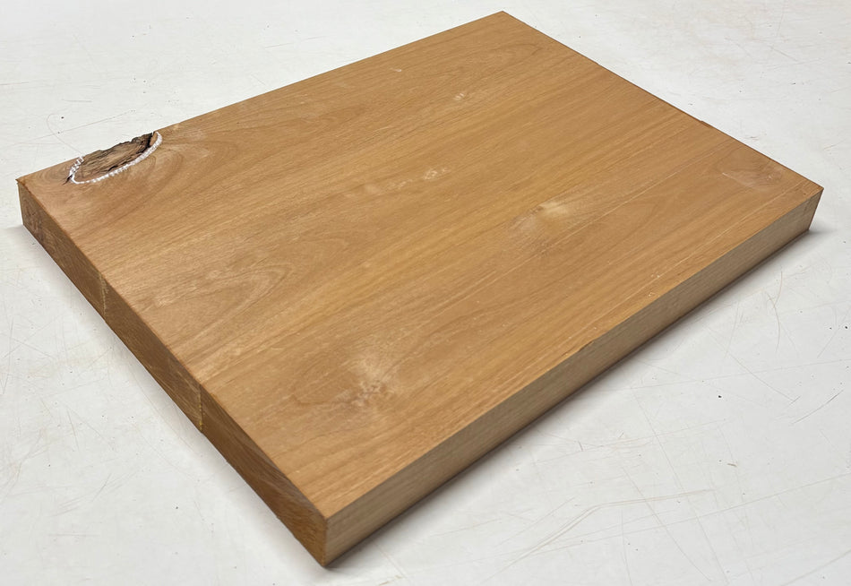 Alder Guitar Body Blank - 21" x 15" x 1-3/4", 10 Lbs (3 Pcs Glued) #46