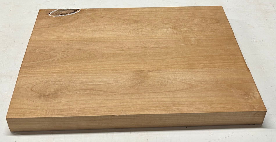 Alder Guitar Body Blank - 21" x 15" x 1-3/4", 10 Lbs (3 Pcs Glued) #46