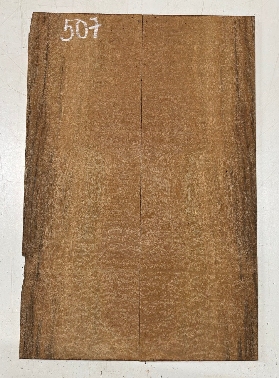 Quilted Sapele Guitar Drop Top - 21-1/2" x 7-1/4" x 3/8" #507