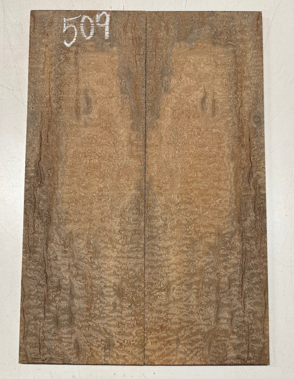 Quilted Sapele Guitar Drop Top - 21-1/2" x 7-1/4" x 3/8" #509
