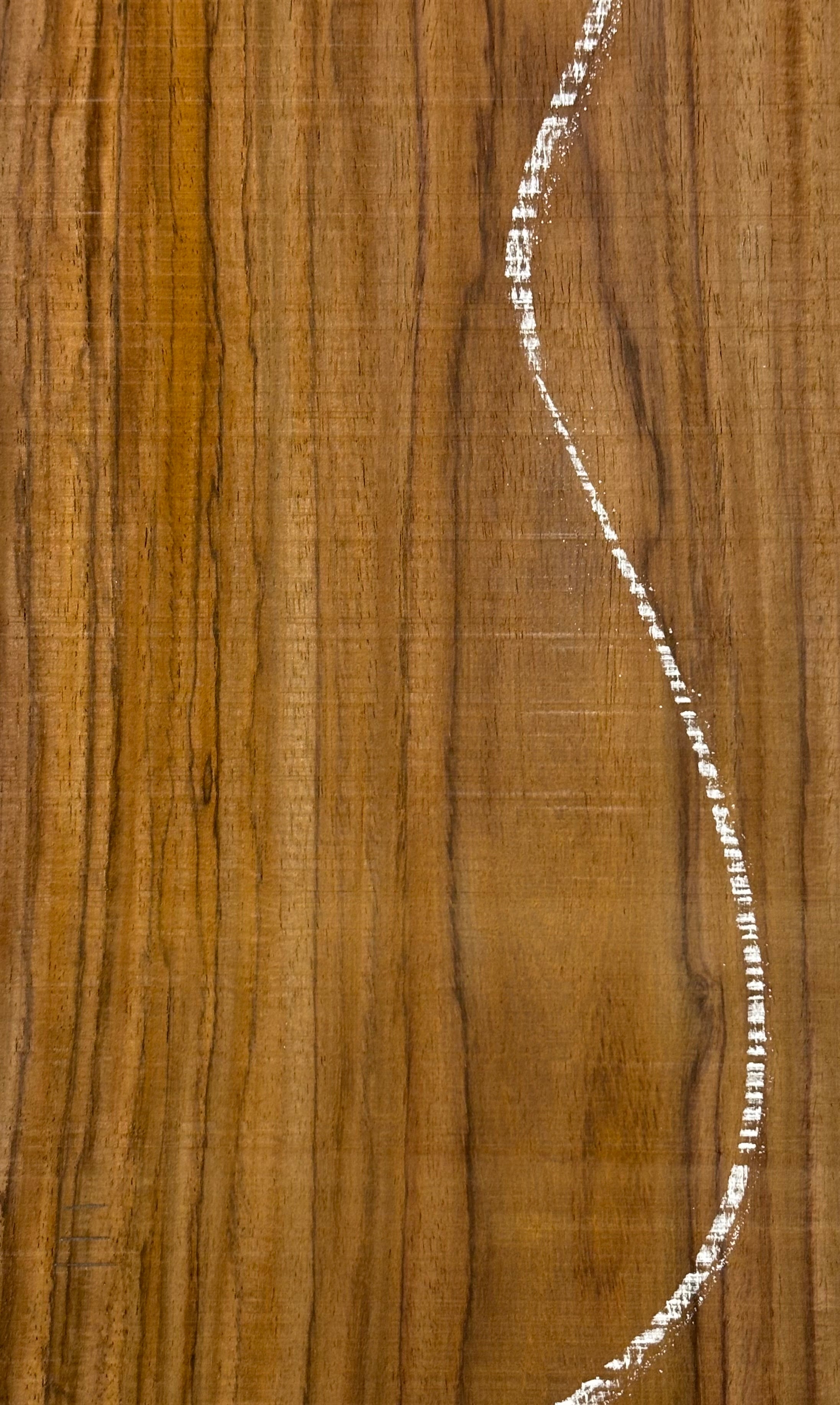 Rare Tiger Striped Rosewood Guitar Drop Top - 22-1/2" x 7-1/4" x 3/8" #504 Exotic Wood Zone 