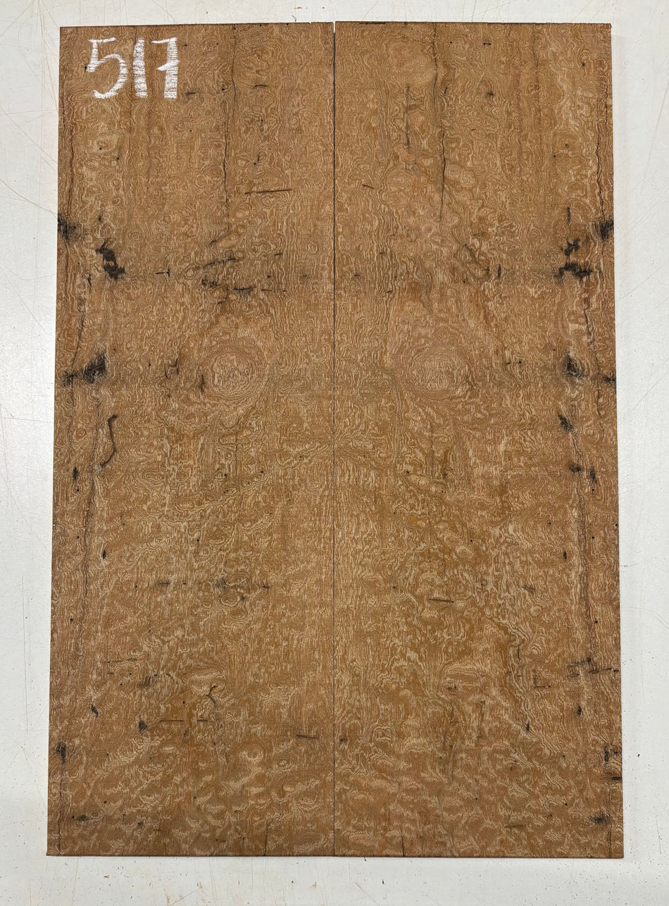 Quilted Sapele Guitar Drop Top - 21-1/2" x 7-1/4" x 3/8" #517