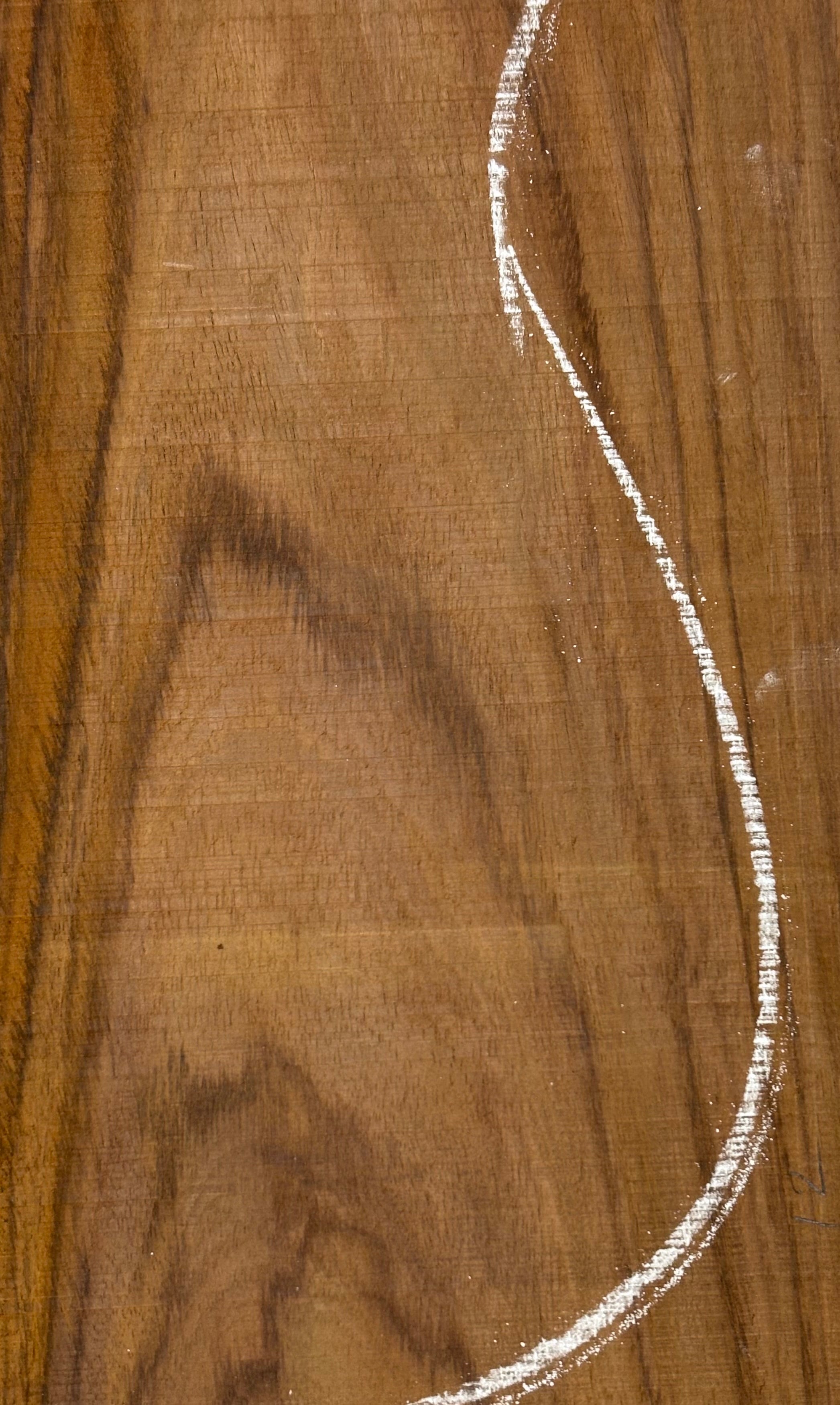 Rare Tiger Striped Rosewood Guitar Drop Top - 22-1/2" x 7-1/4" x 3/8" #507 Exotic Wood Zone 