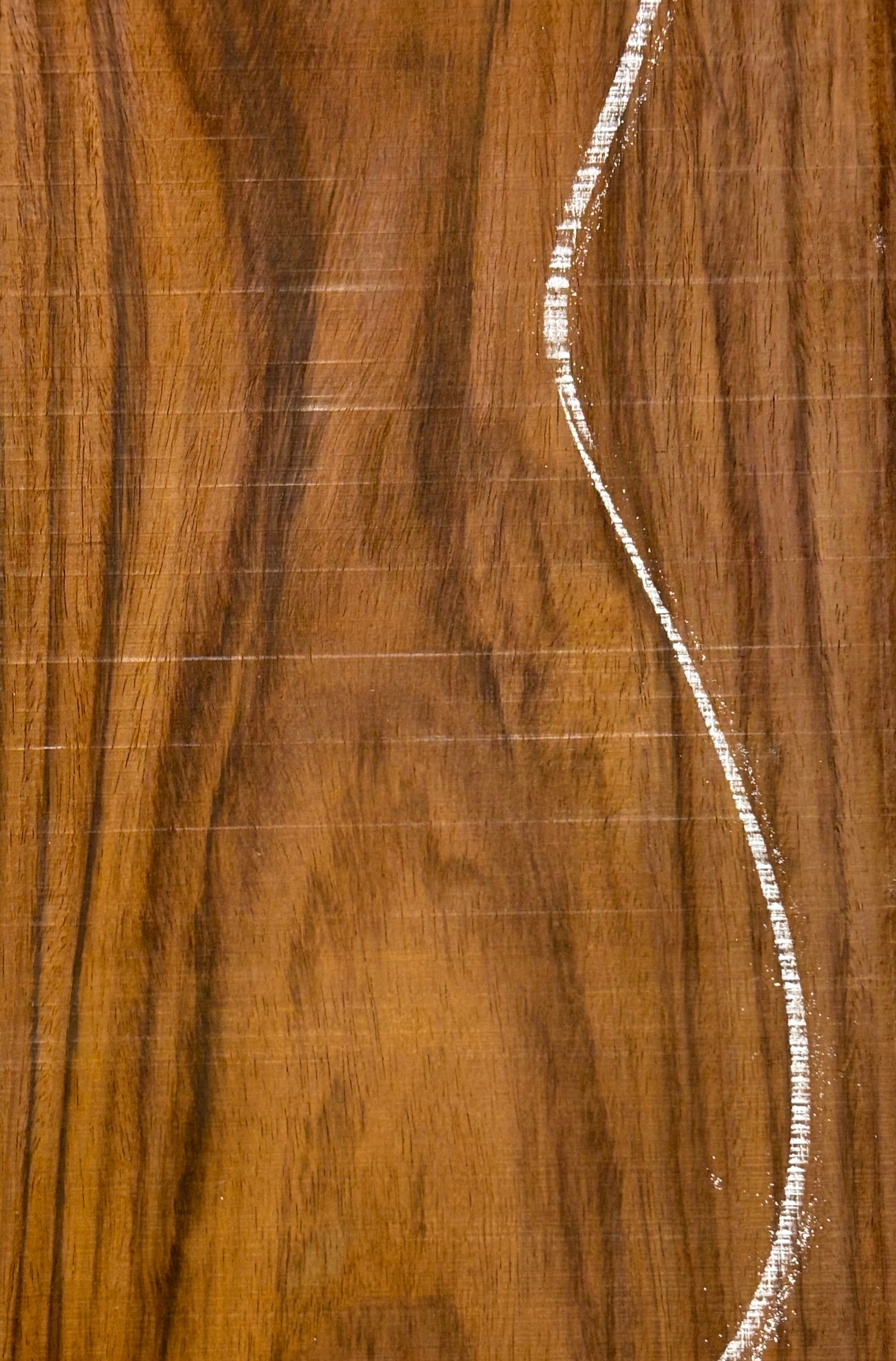 Rare Tiger Striped Rosewood Guitar Drop Top - 22-1/2" x 7-1/4" x 3/8" #508 Exotic Wood Zone 