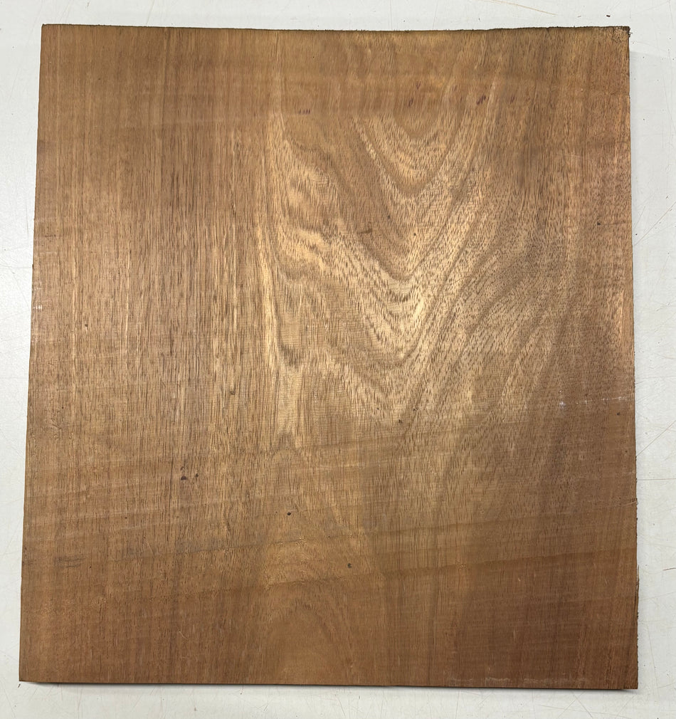 1 Piece, Caribbean Walnut Lumber Board Blank 17" x 15-7/8" x 7/8" #162