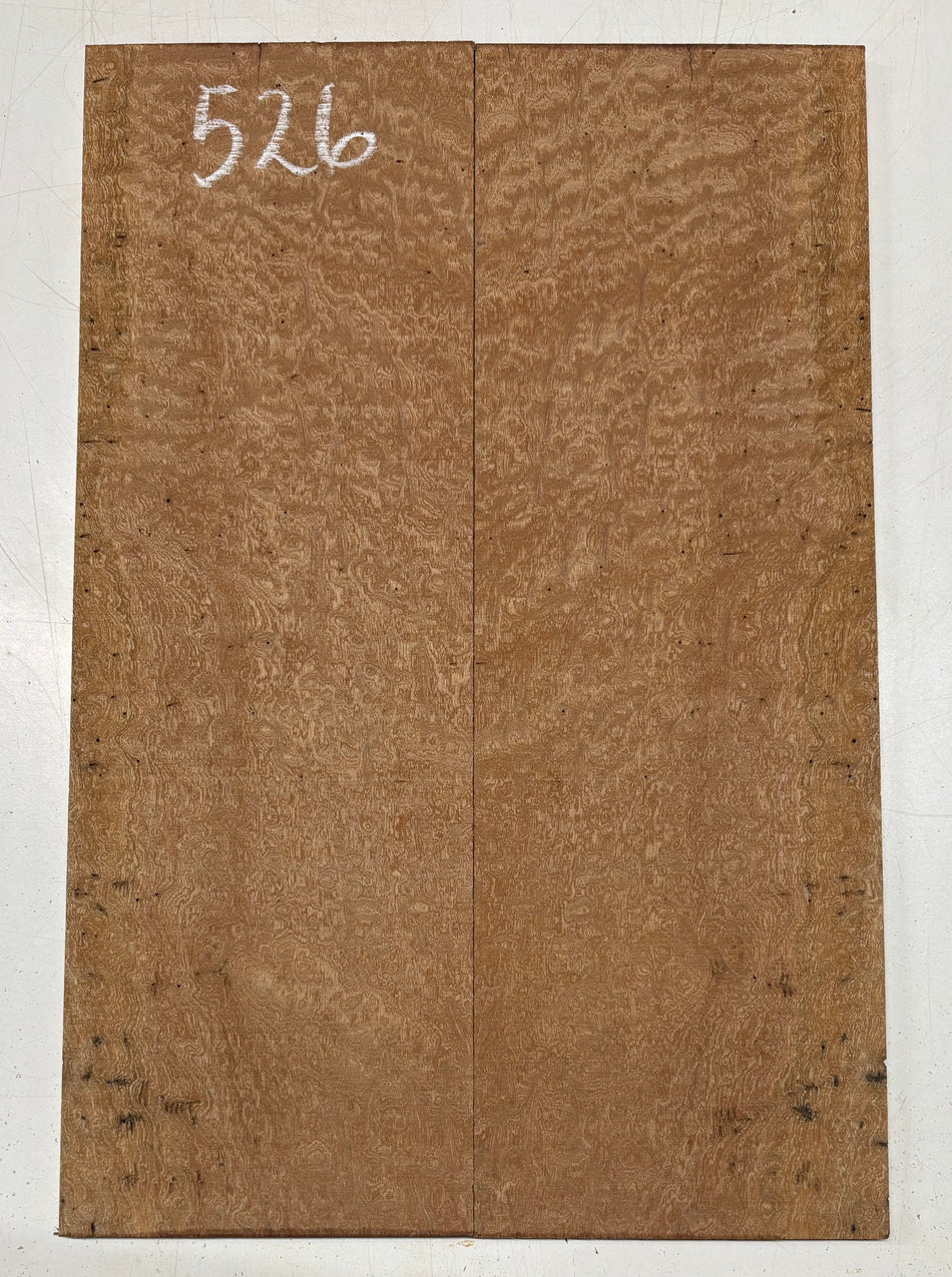Quilted Sapele Guitar Drop Top - 21-1/2" x 7-1/4" x 3/8" #526