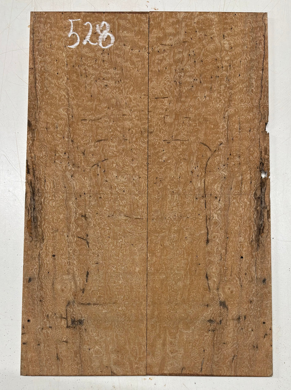 Quilted Sapele Guitar Drop Top - 21-1/2" x 7-1/4" x 3/8" #528