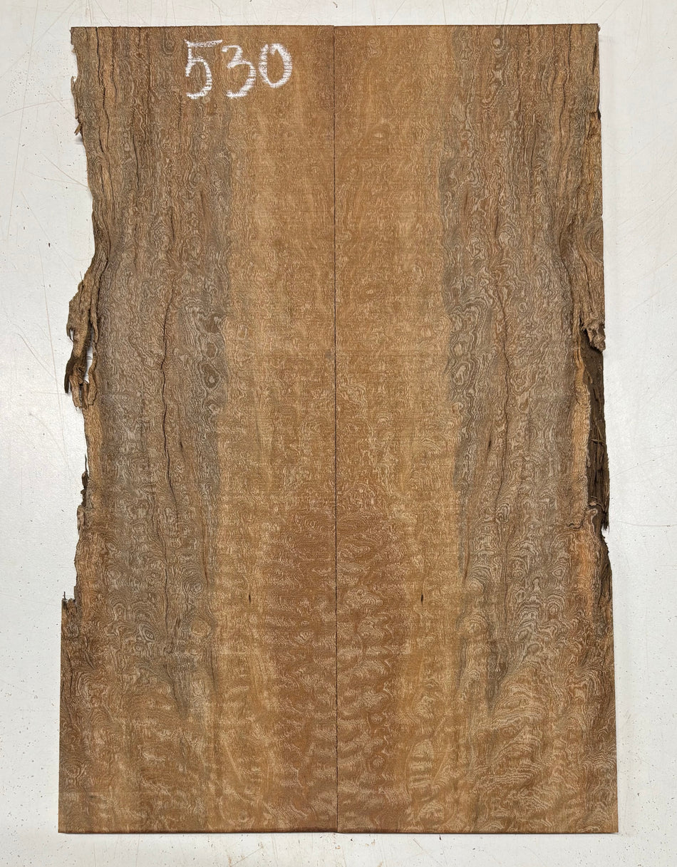 Quilted Sapele Guitar Drop Top - 21-1/2" x 7-1/4" x 3/8" #530