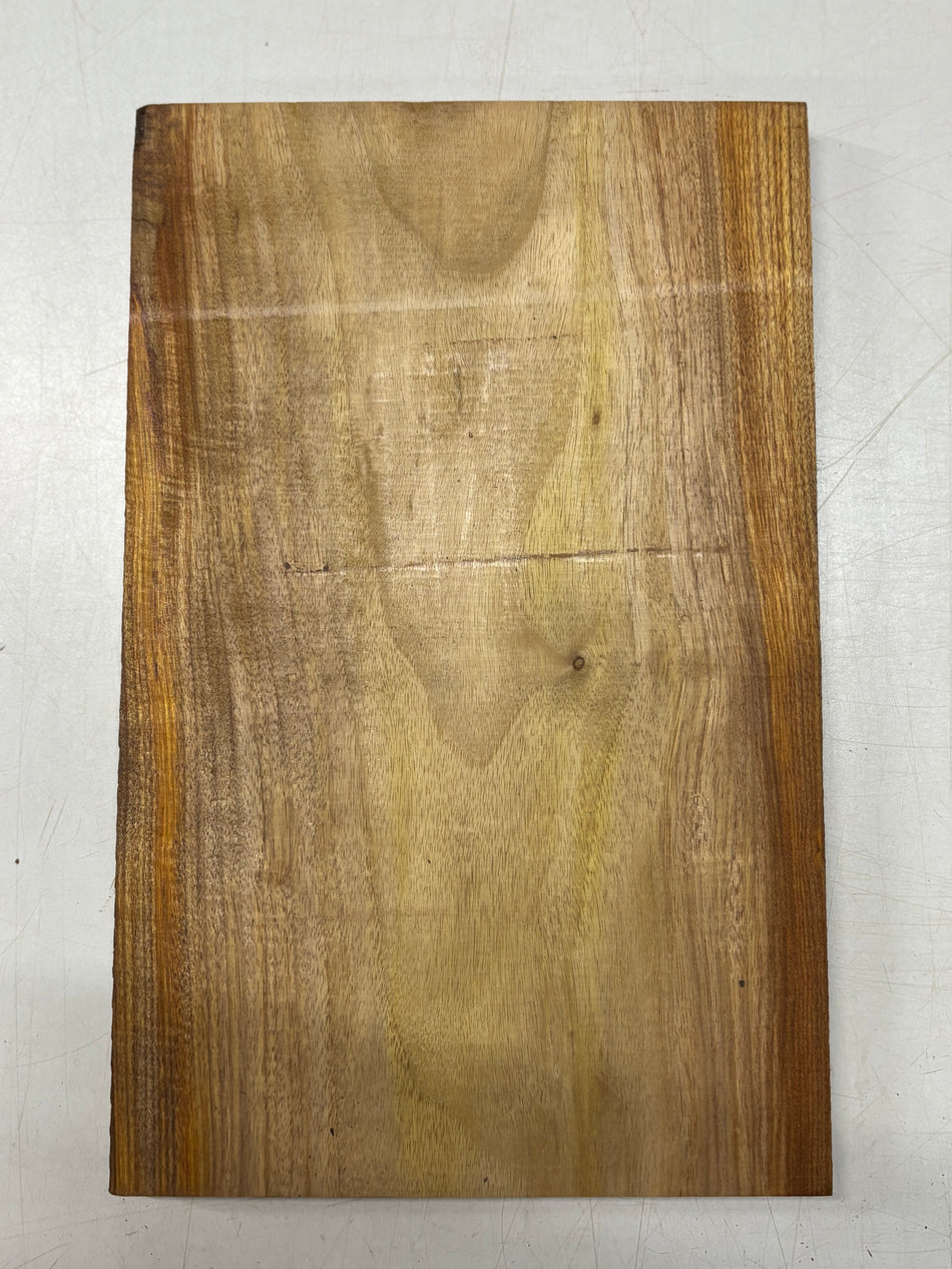1 Piece, Canarywood Lumber Board Blank 13-3/4" x 8-3/4" x 3/4" #181