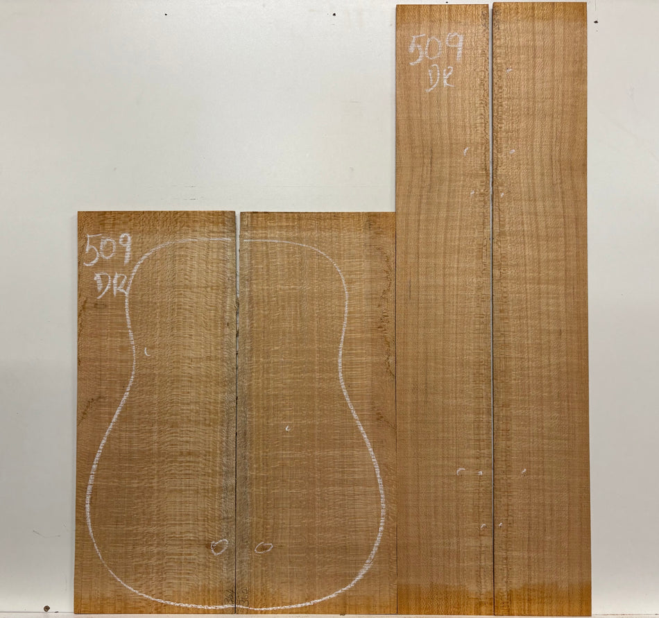 Lacewood Dreadnought Guitar Back & Side Set- BC Grade #509 Exotic Wood Zone 