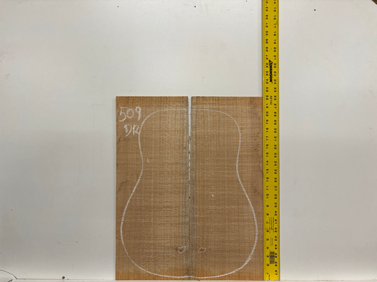 Lacewood Dreadnought Guitar Back & Side Set- BC Grade #509 Exotic Wood Zone 