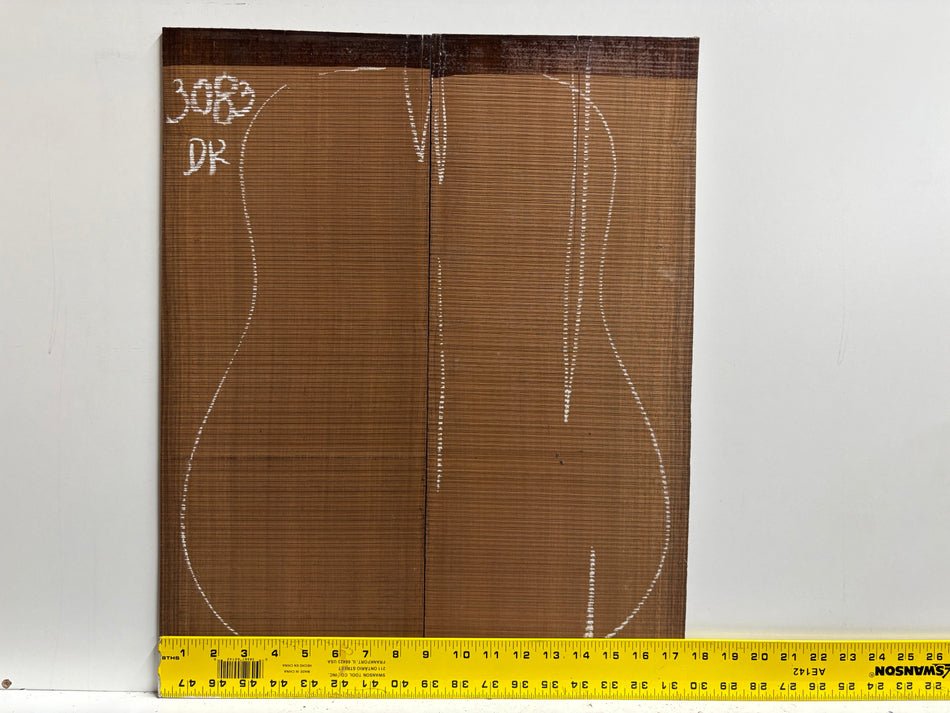 Amazon Rosewood Dreadnought Guitar Back Set (Seconds) #3083