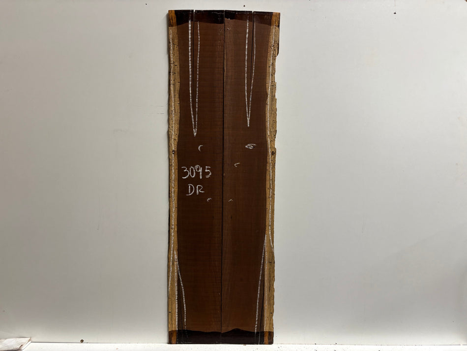 Amazon Rosewood Dreadnought Guitar Side Set (Seconds) #3095