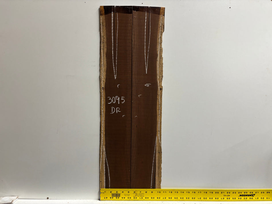 Amazon Rosewood Dreadnought Guitar Side Set (Seconds) #3095