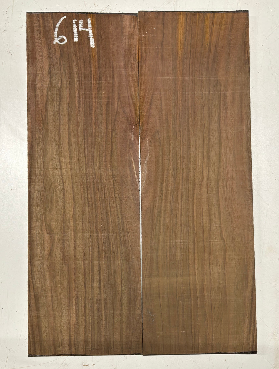 Juego de fondo y aros de guitarra de grado AAAA Dreadnought de palisandro de la India Oriental #61 