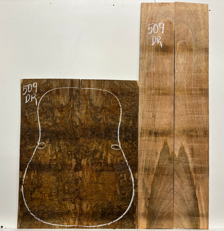 Juego de fondo y aros de guitarra mexicana Granadillo Dreadnought #63