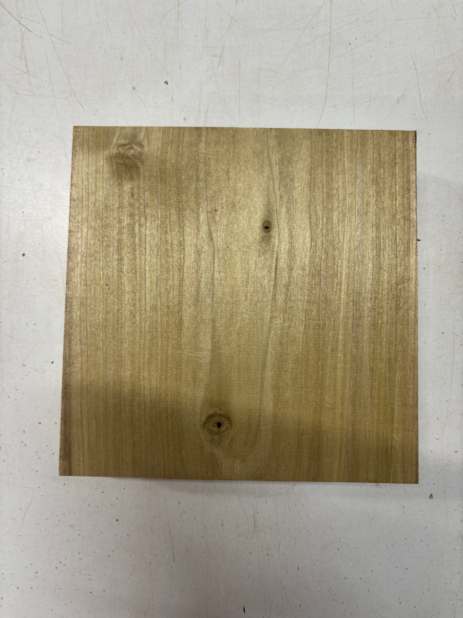 1 Piece, Poplar Bowl Blank 8"x8"x2"#6146