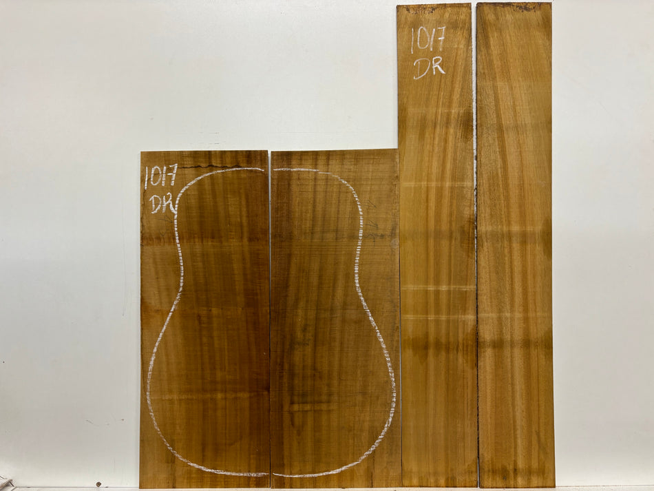 Golden Acacia Dreadnought Guitar Back & Side Set #1017