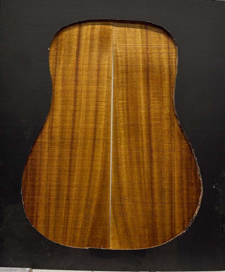 Golden Acacia Dreadnought Guitar Back & Side Set #1039