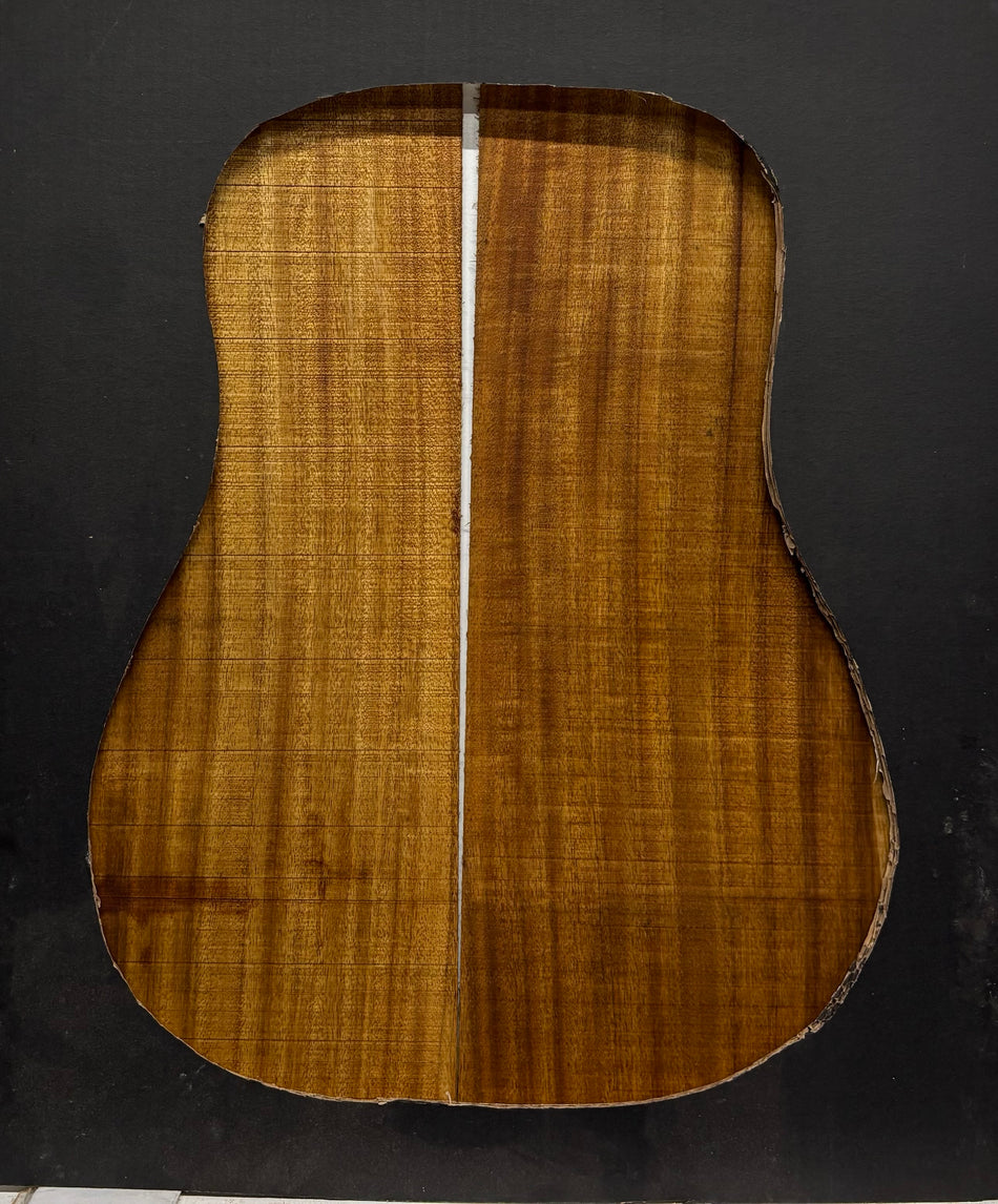 Golden Acacia Dreadnought Guitar Back & Side Set #1053