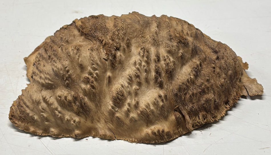 Brown Mallee Burl Blank 9" x 5" x 2.5" 3 Lbs #6302