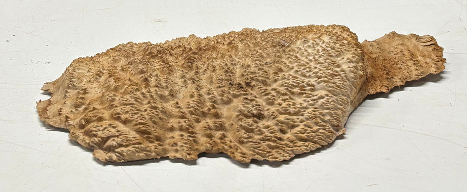Brown Mallee Burl Blank 15" x 7" x 2" 3.3 Lbs #6308