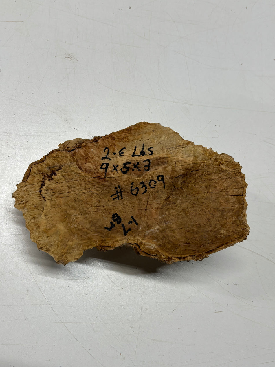 Brown Mallee Burl Blank 9" x 5" x 3" 2.6 Lbs #6309