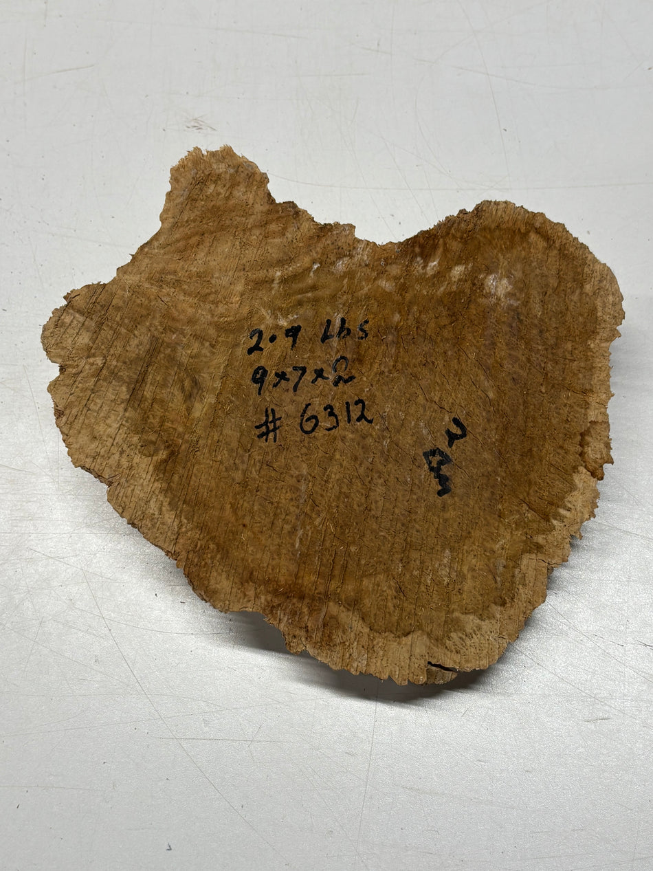 Brown Mallee Burl Blank 9" x 7" x 2" 2.9 Lbs #6312