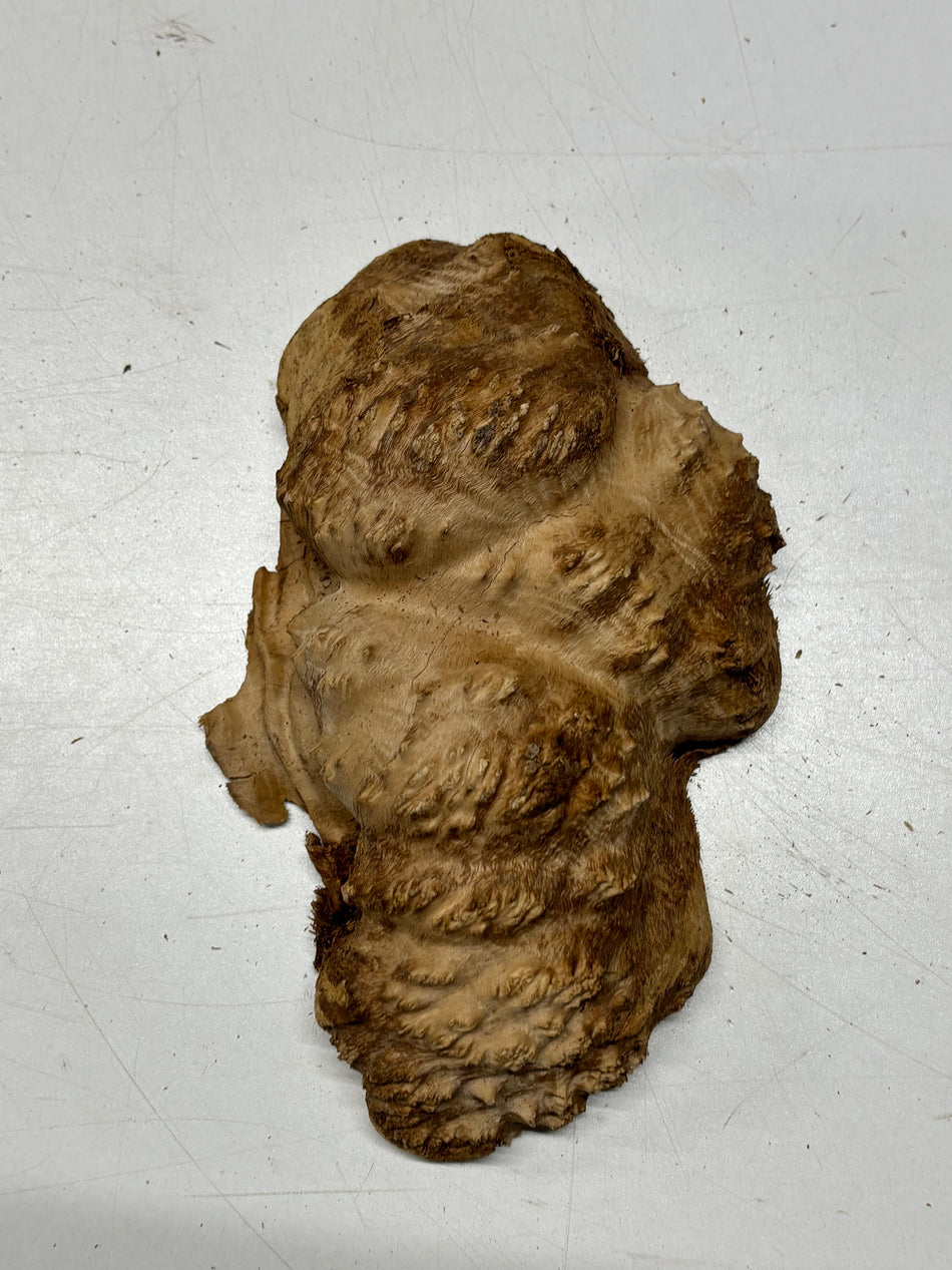 Brown Mallee Burl Blank 9" x 5" x 2" 1.9 Lbs #6314