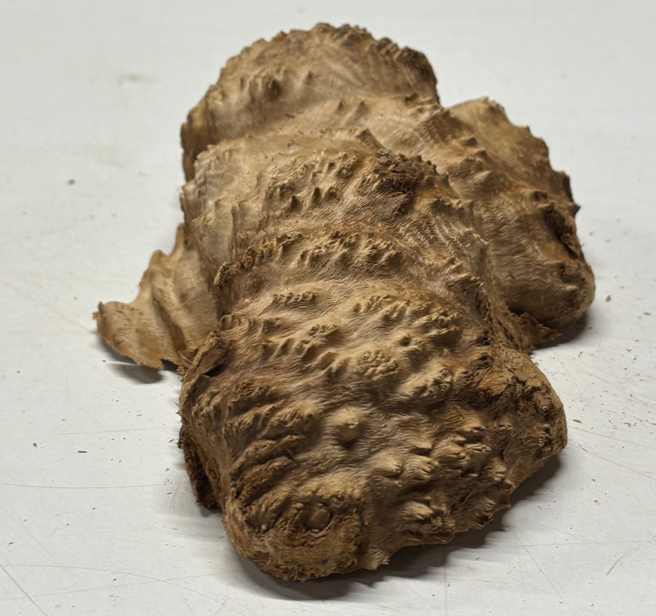 Brown Mallee Burl Blank 9" x 5" x 2" 1.9 Lbs #6314