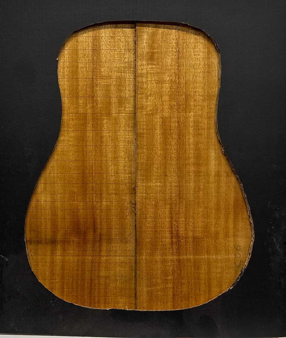 Golden Acacia Dreadnought Guitar Back & Side Set #1064