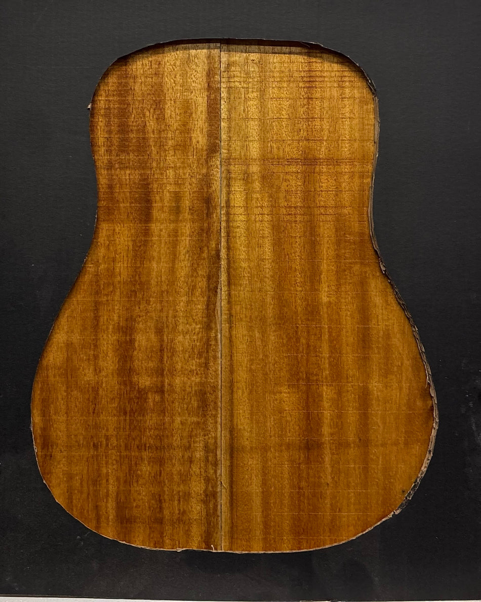 Golden Acacia Dreadnought Guitar Back & Side Set #1065