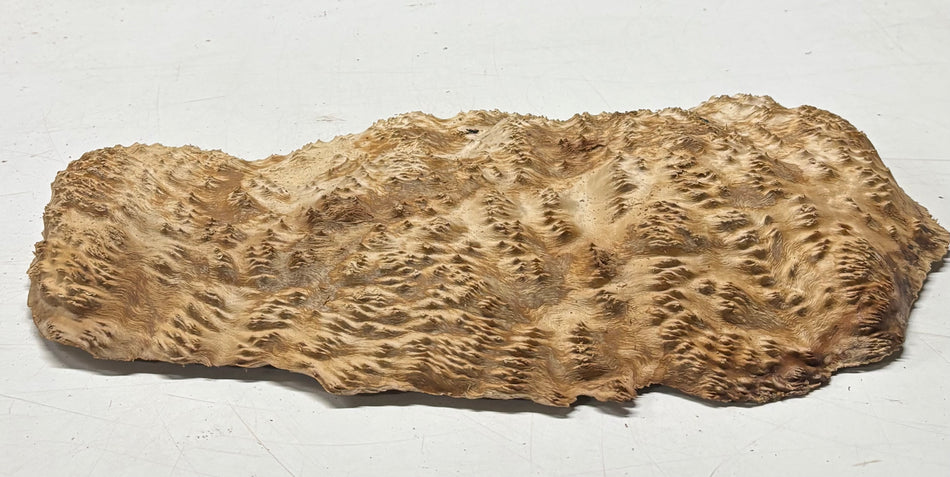 Brown Mallee Burl Blank 15" x 8.5" x 2" 4.2 Lbs #6321