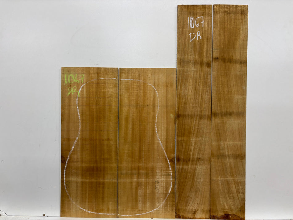 Golden Acacia Dreadnought Guitar Back & Side Set #1067