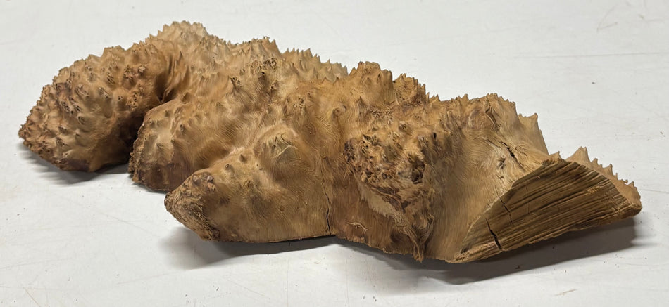 Brown Mallee Burl Blank 10" x 6" x 2" 2.6 Lbs #6322