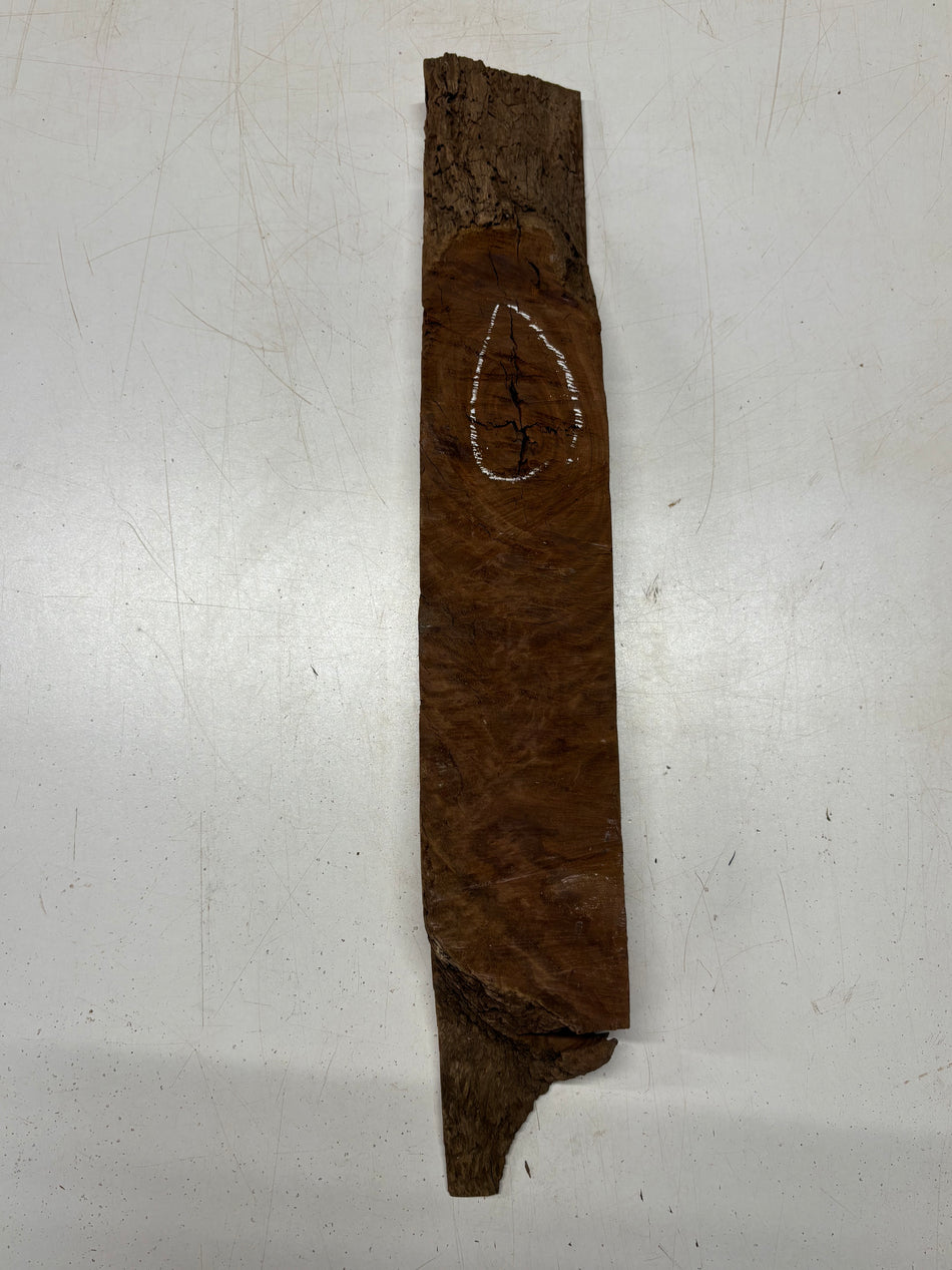 1 Piece, Sydney Red Gum Burls 18"x3"x1-3/4" #5178