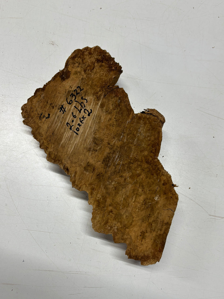 Brown Mallee Burl Blank 10" x 6" x 2" 2.6 Lbs #6322